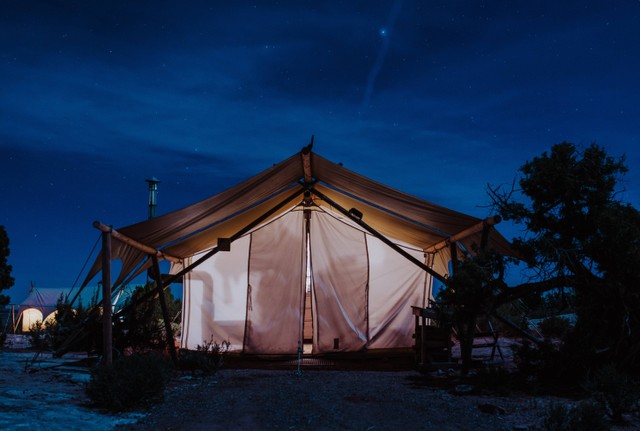 Ilustrasi Edelweiss Glamping Bogor, Foto; Unsplash/Persnickety Prints