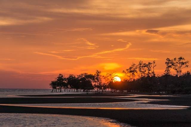 Pantai Pasut Bali. Foto hanya ilustrasi bukan tempat sebenarnya. Sumber foto: Unsplash.com/Esmonde Yong