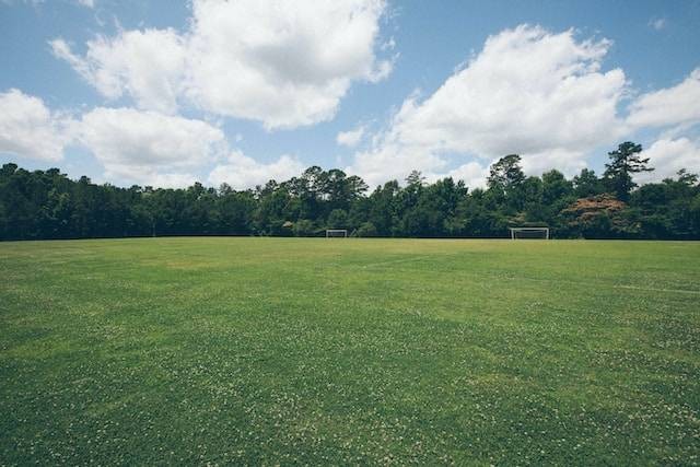 Lapangan Rindam Jaya Condet. Foto hanya ilustrasi, bukan tempat sebenarnya. Sumber: Unsplash/Phil Goodwin