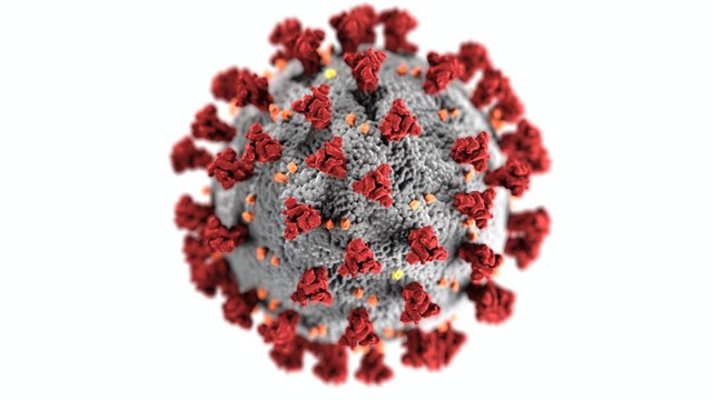 Gambar dari Lisis virus adalah. Sumber: pexels.com/CDC