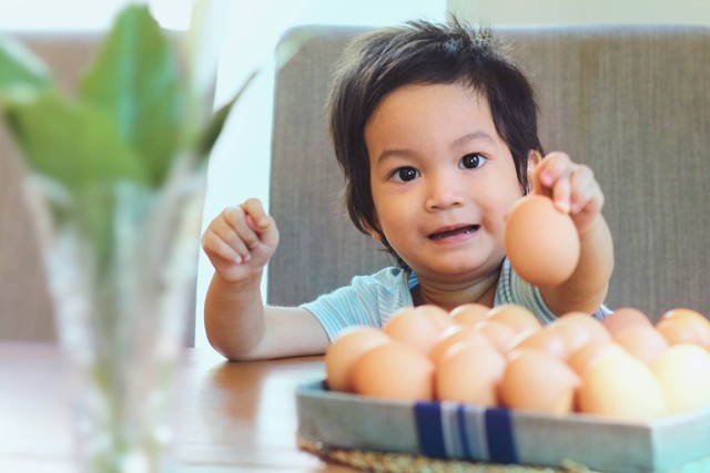 Ilustrasi anak makan telur. Foto: Mama Belle and the kids/Shutterstock