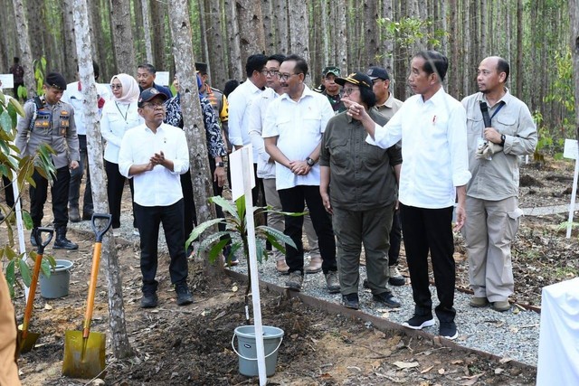 Jokowi Yakin Perkembangan Pembangunan IKN: Pengusaha Swasta Sangat ...