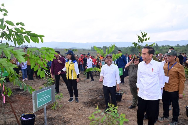 Presiden Jokowi memantau pembangunan miniatur hutan hujan tropis di Ibu Kota Negara (IKN) Nusantara seluas 96 hektar, Rabu (20/12/2023). Foto: KEMENTERIAN SEKRETARIAT NEGARA REPUBLIK INDONESIA
