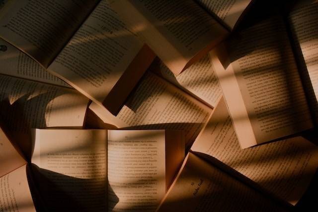 Ilustrasi sinonim dikelola. Foto: Unsplash/Rey Seven