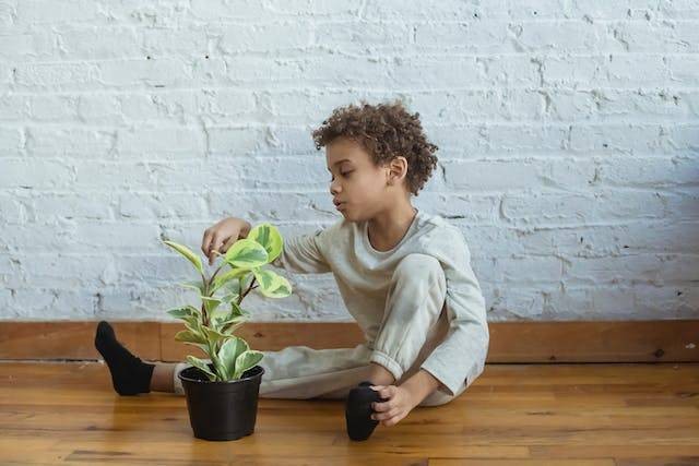 Kegiatan selama liburan sekolah di rumah. Sumber: pexels.com