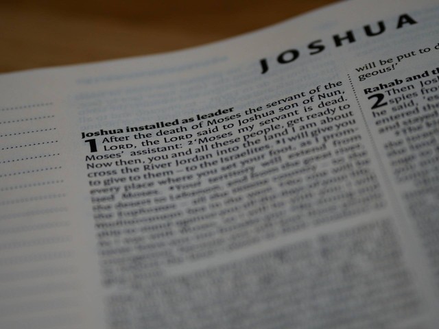 Ilustrasi Apakah Tugas yang Tuhan Berikan kepada Yosua. Sumber: Unsplash/Brett Jordan