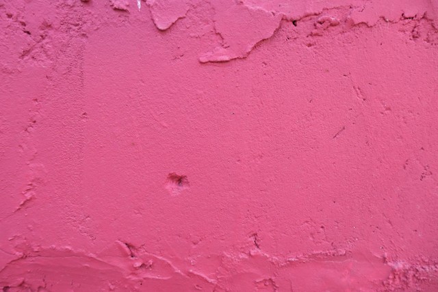 Arti warna pink. Foto: Unsplash/Bekky Bekks