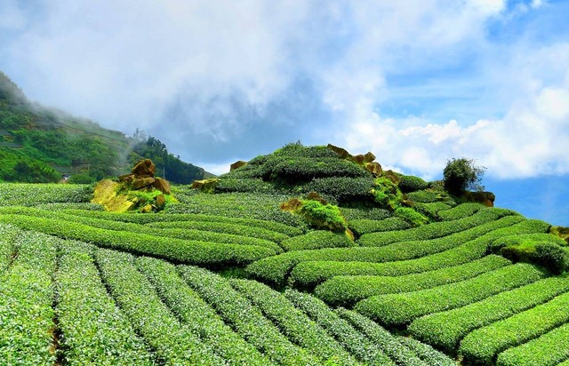 Ilustrasi tempat wisata Cabinite Pangalengan Bandung (foto bukanlah tempat sebenarnya). Sumber foto: Pixabay @Oliver_Nguyen