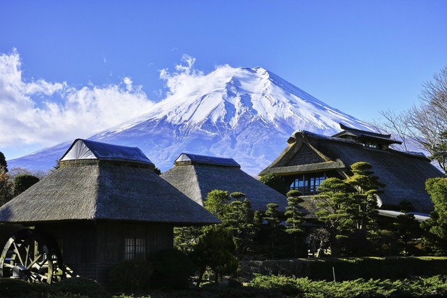 Ilustrasi Tips Liburan ke Jepang. Foto: pexels/Pixabay