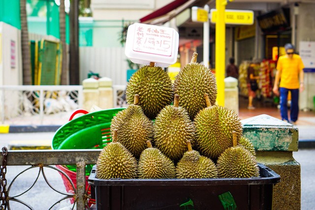 ilustrasi durian (Unsplash)