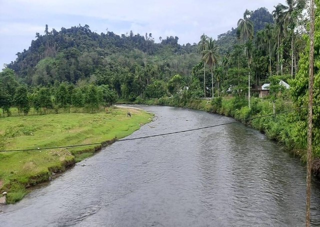 Pemandangan aliran Sungai Batang Momong dari atas jembatan gantung di Nagari Lubuk Karak. Sumber: Dokumen pribadi