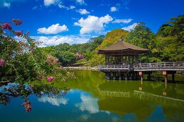 Taman Mas Kemambang: Lokasi, Daya Tarik, dan Info Penting Lainnya