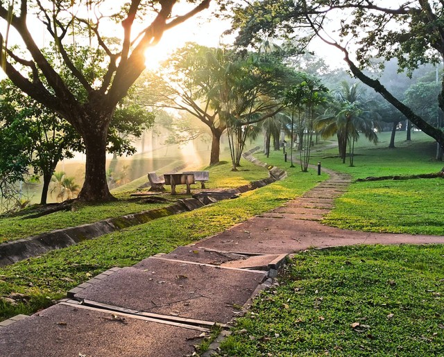 Embung Langensari, Foto Hanya Ilustrasi, Bukan Tempat Sebenarnya. Sumber Unsplash Afdhal N