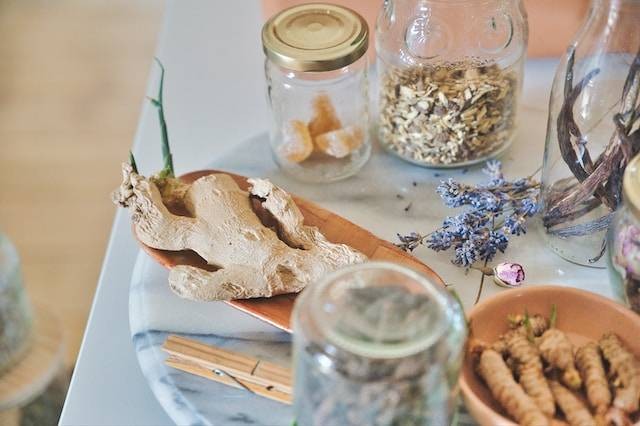 Manfaat Kencur untuk Merpati. Sumber foto: unsplash.com/Conscious Design