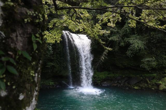 Ilustrasi air terjun di Jember. Unsplash/DEAR.