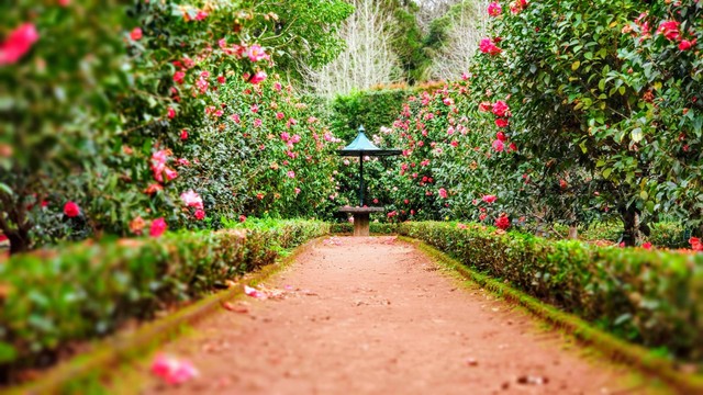 Museum di Tengah Kebun. Foto hanya sebagai ilustrasi, bukan tempat sebenarnya. Sumber: Unsplash/Ignacio Correia.