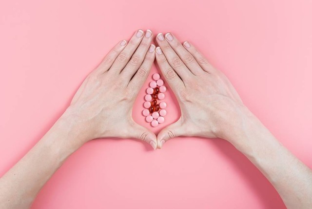 Ilustrasi vagina. Foto: Mikhaylovskiy/Shutterstock