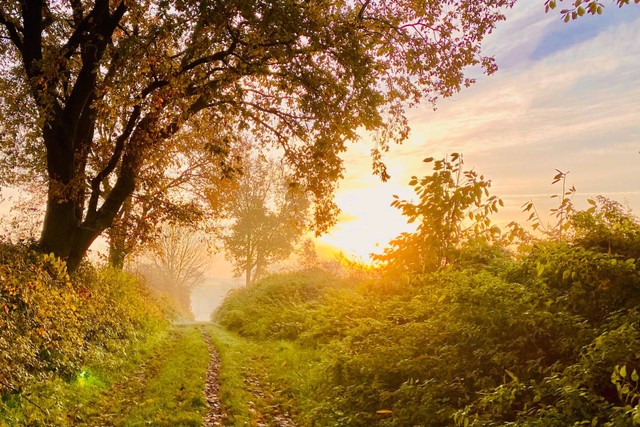 Tebing Gunung Gajah / Foto hanya ilustrasi bukan tempat sebenarnya. Sumber: https://unsplash.com