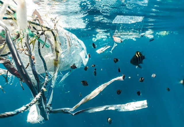 Ilustrasi Bahaya Sampah Plastik bagi Lingkungan, Sumber Unsplash/Naja Bertolt Jensen