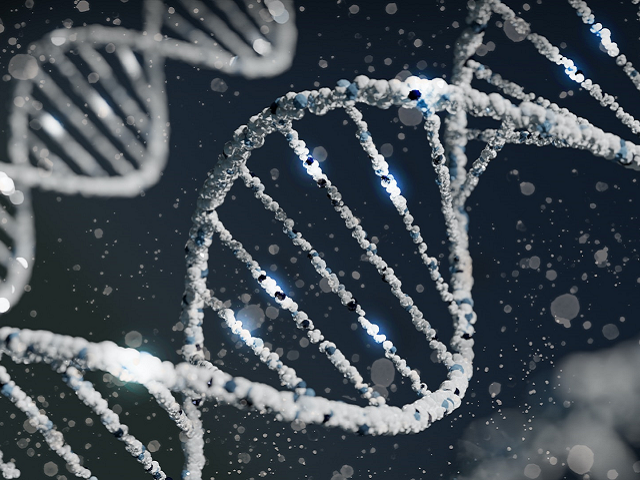 Ilustrasi mutasi apa saja yang dapat terjadi pada DNA. Sumber: unsplash.com/SangharshLohakare.