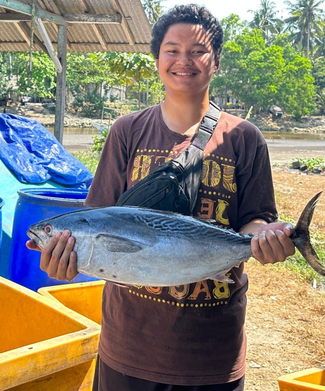 Kredit: Pembelian Ikan Tongkol di Pangandaran 