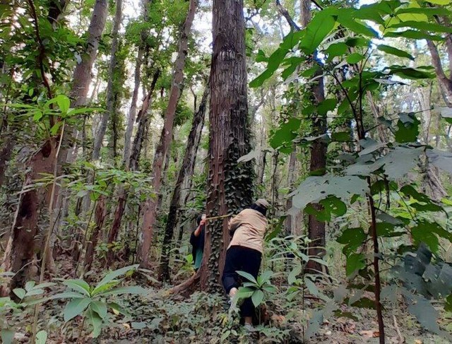 Tim KKN ITS saat mengeksplor hutan Alas Purwo. Foto: Humas ITS