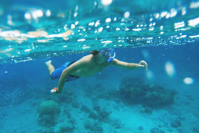 5 Spot Snorkeling Di Bali Dengan Pemandangan Bawah Laut Menawan ...