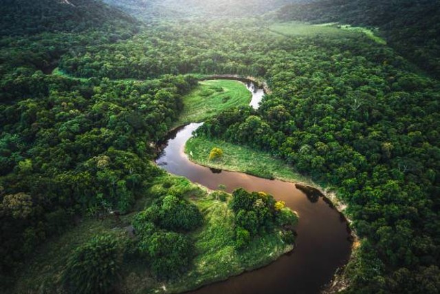 Ilustrasi Taman Hutan Raya Nuraksa, Foto: Unsplash/FG Trade.