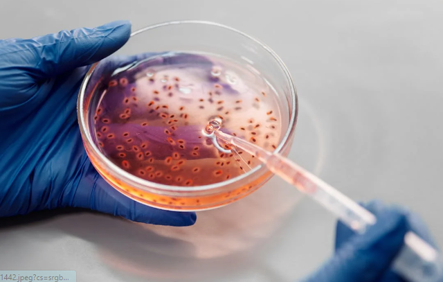 Ilustrasi contoh bioteknologi di bidang peternakan. Sumber: Pexels/Edward Jenner