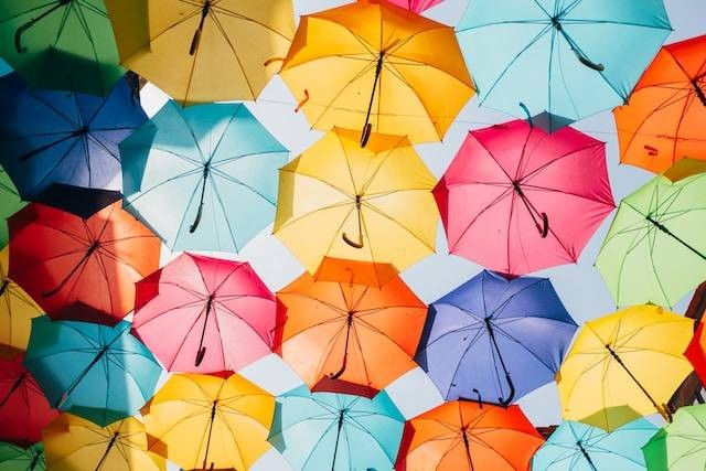 Ilustrasi Buatlah Kalimat dengan Kata Payung. Sumber: Unsplash/Ricardo Resende