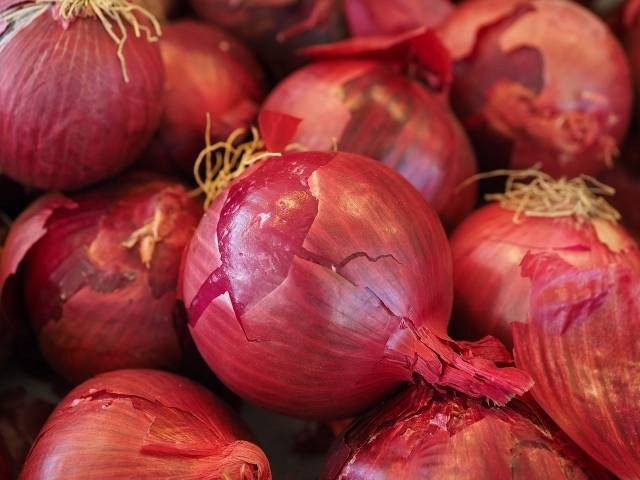 Ilustrasi cara menanam bawang merah. Foto: Pixabay
