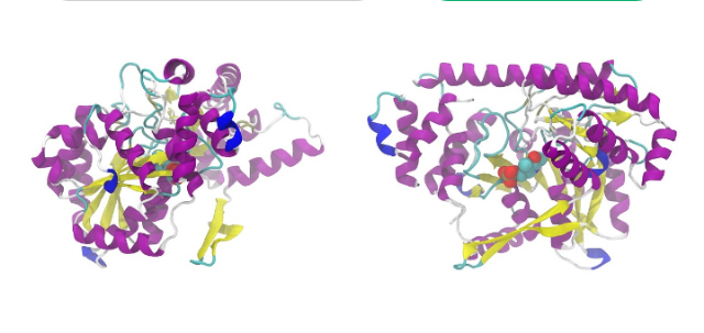 Ilustrasi struktur kimia protein. Sumber foto: pixabay/WikimediaImages