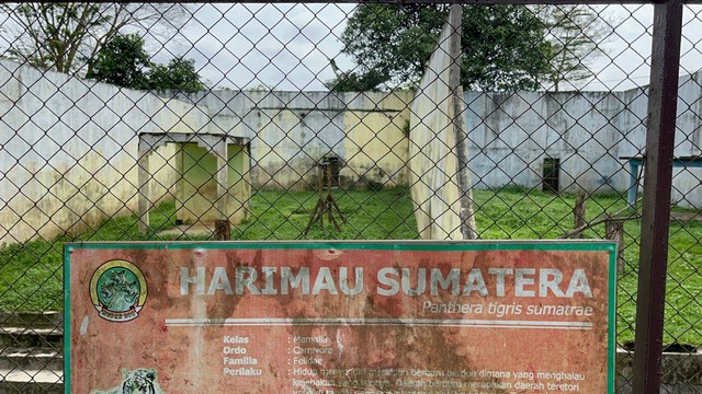 Kondisi kandang harimau di Medan Zoo. Foto: Tri Vosa/kumparan