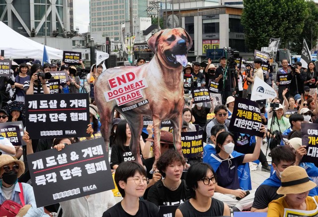 Aktivis hak-hak hewan melakukan unjuk rasa menentang budaya tradisional Korea Selatan yang memakan daging anjing di Seoul, Korea Selatan pada 8 Juli 2023. Foto: AP Photo/Ahn Young-joon
