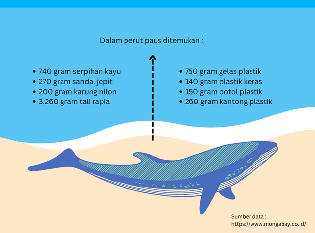 Jenis sampah yang ditemukan di dalam perut paus terdampar di pantai Pulau Kapota, Wakatobi, Sulawesi Tenggara, tahun 2018. Foto : dokumen pribadi