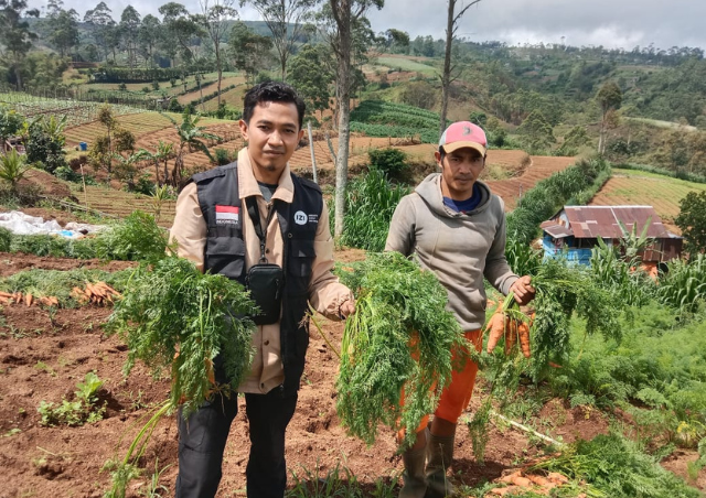 Bertahan Saat Kemarau Panjang, Petani Smartfarm IZI Sulsel Panen 200 Kg Wortel