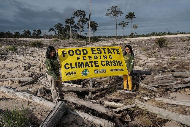 Aksi Greenpeace soal Food Estate. Foto: Dok. Greenpeace