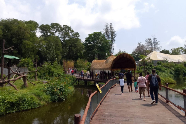 Suasana Solo Safari yang sebelumnya dikenal Taman Satwa Taru Jurug (Solo Zoo). Foto: kumparan