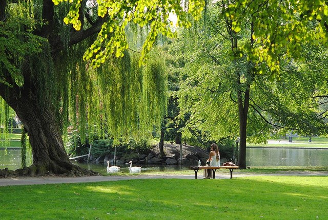 Ilustrasi taman di bandung. Foto hanya ilustrasi, bukan tempat sebenarnya. Sumber: www.unsplash.com