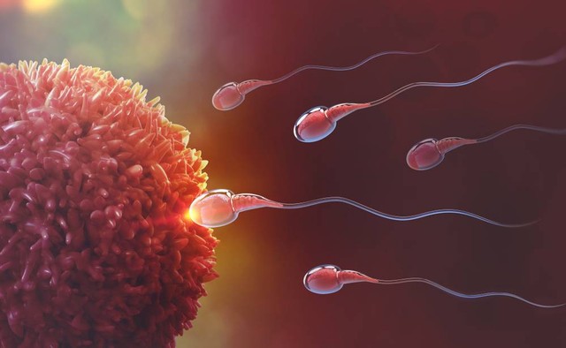 Ilustrasi sperma. Foto: Yurchanka Siarhei/Shutterstock