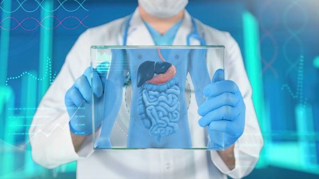 Ilustrasi Jelaskan Yang Dimaksud Dengan Zat Sisa Metabolisme, Foto: Unsplash/sefa ozel.