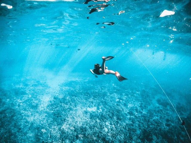 Harga Snorkeling di Bali. Foto Hanya Ilustrasi, Bukan Tempat Sebenarnya. Sumber Unsplash Subtle Cinematics