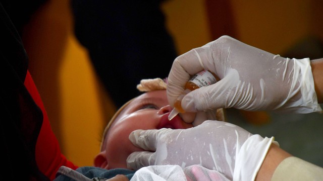 Petugas kesehatan meneteskan vaksin polio pada mulut anak balita saat pelaksanaan Sub Pekan Imunisasi Nasional Polio di Madiun, Jawa Timur, Senin (15/1/2024). Foto: ANTARA FOTO/Siswowidodo