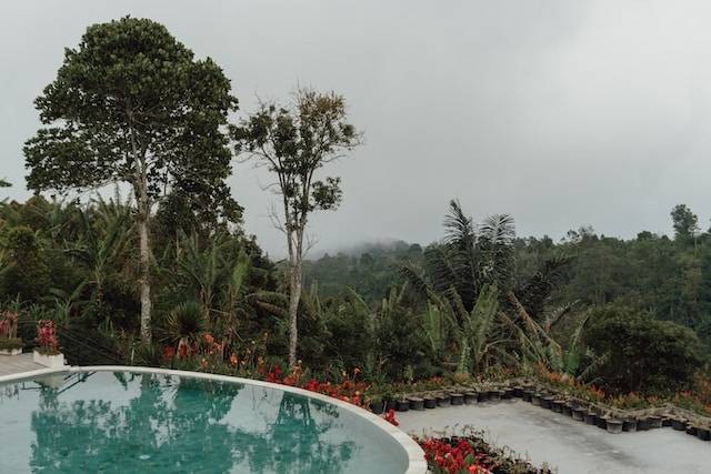 Pemandian Air Panas Parang Wedang Jogja. Foto hanya ilustrasi bukan tempat sebenarnya. Sumber foto: Unsplash.com/Polina Kuzovkova