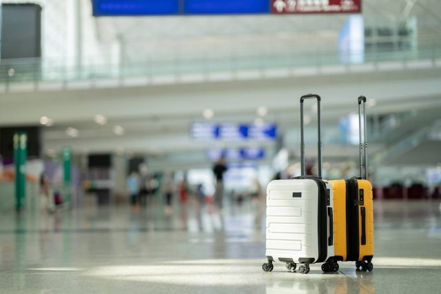 Ilustrasi traveler bawa koper. Foto: Kingmaya Studio/Shutterstock