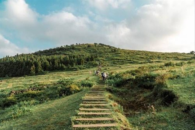 Tempat Wisata di Jeju. Unsplash/ Jaemin don