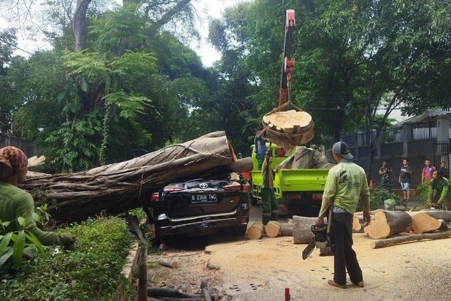 Pemprov DKI Akan Ganti Rugi Fortuner Yang Tertimpa Pohon Di Depan Rumah Prabowo Kumparan Com