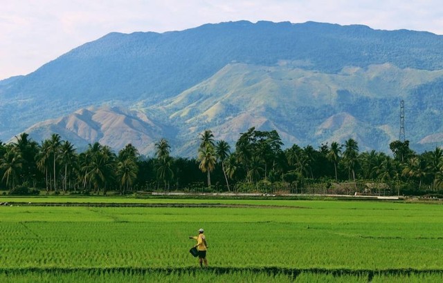 Ilustrasi Suku dan Masyarakat Adat Sulawesi Tengah.  Sumber Unsplash/Sandy Zebua