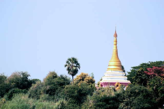 Ilustrasi Taman Alam Lumbini. Foto: Unsplash/Isabel Retamales.