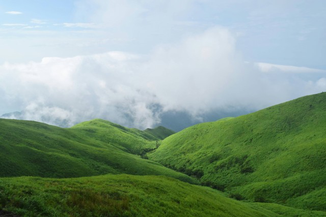  Ilustrasi Bukit Matang Kaladan, Foto Unsplash/Joseph Liu